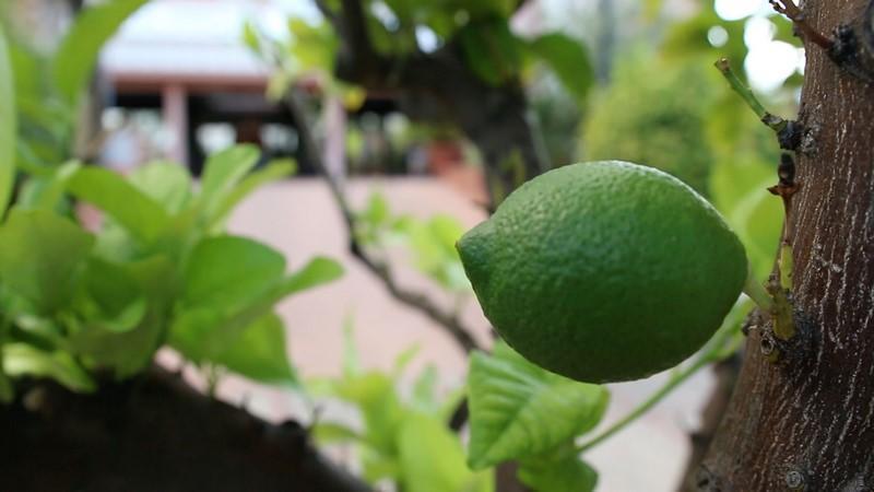 San Paolo Palace Hotel Palermo Ngoại thất bức ảnh